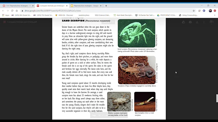 7 4 1 Reproductive strategies -Slides