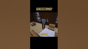 MEET THE EVOKER #minecraft #minecrafttutorial