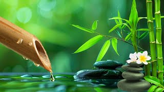 Relaxation with Piano Relaxing Music, Perfect for Sleep - Calming Melodies, Soothing Bamboo