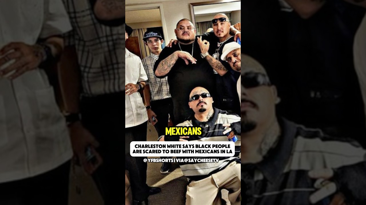 Чарльстон Уайт говорит, что чернокожие боятся ссориться с мексиканцами в Лос-Анджелесе..😳 #charle...