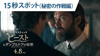 『ファンタスティック・ビーストとダンブルドアの秘密』15秒スポット（ 秘密の作戦編）　4月8日（金）公開！