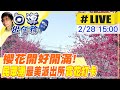 【白導出任務 #LIVE】全台最美派出所!櫻花開好開滿 泰安派出所八重櫻爆棚盛開中 民眾搶打卡拍照 現場最新 20240228 @CtiNews