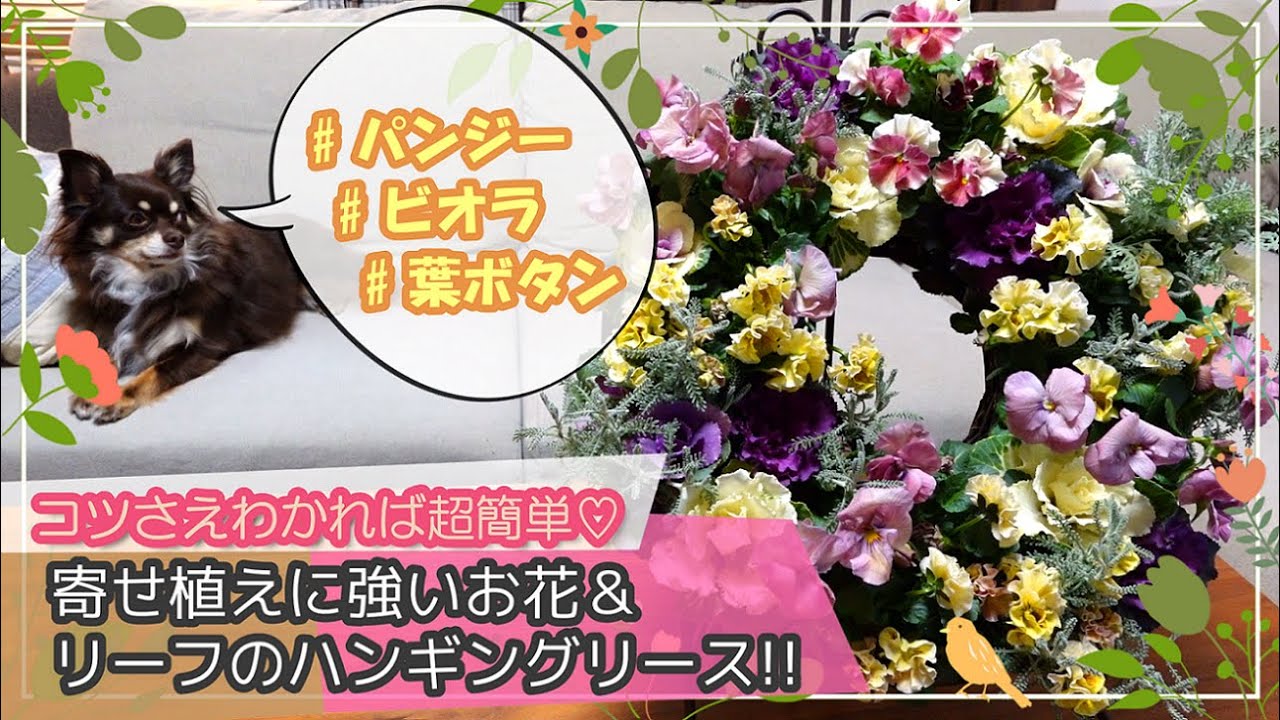 葉ボタン×フリルビオラ＆八重パンジー】コツさえわかれば超簡単♡寄せ