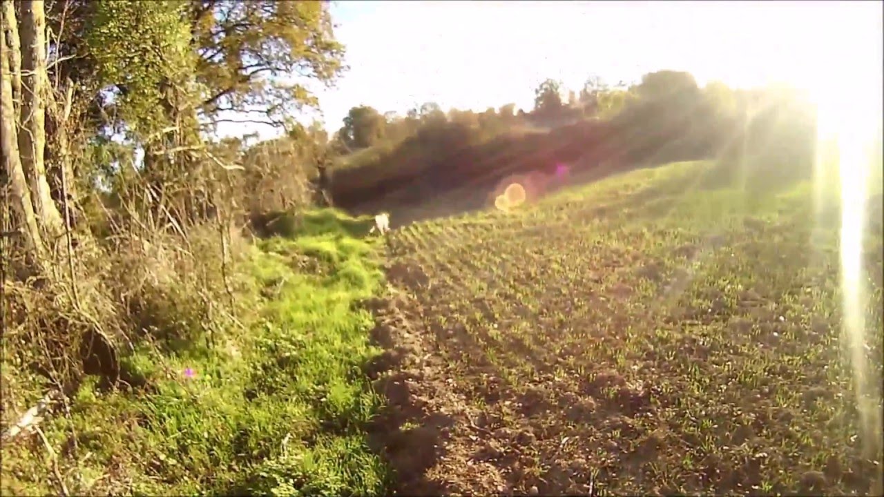 chasse aus pigeons compilation saison 2015/2016 acte 1