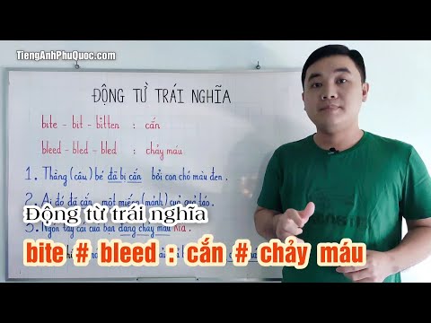 Bite Bất Quy Tắc - #297 BITE # BLEED : cắn, đớp, ngoạm, chích # chảy máu (nhựa, mủ)