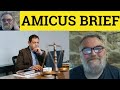  amicus brief meaning amicus curiae bried examples amicus curiae defined amicus brief amicus curiae