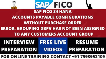SAP FICO S4 HANA ACCOUNTS PAYABLE CONFIGURATIONS, ERROR: DBPV HAS NOT BEEN ASSIGNED TO CUSTOMER GRP