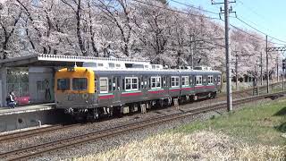 桜と列車のコラボレーション（埼玉＆群馬ダイジェスト版）