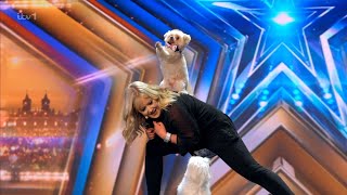 Britains Got Talent 2024 The Trickstars Audition Adorable Dog Show Full Show Wcomments Season 17