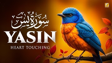 Surah Yaseen (Yasin) سورة يس | Ultimate Relaxing Quran Will Touch Your Heart إن شاء الله #surahyasin