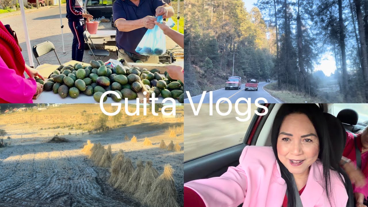 Conociendo nuevos lugares yo no avía visto estas bellezas➕me dejó sorprendida 😮 de como actúa❓￼y más