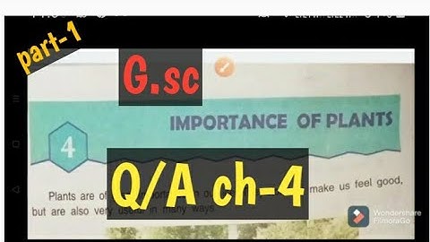 DAV SCHOOL science CLASS 3rd Lesson 4 Importance of Plants questions answers in hindi explanation