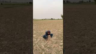Dongey baba #funny #comedyvideos #shorts