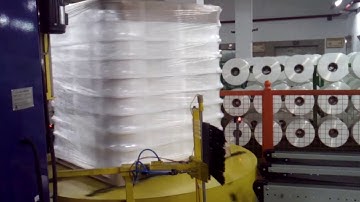 Fully auto pallet wrapping machine(with conveyors)