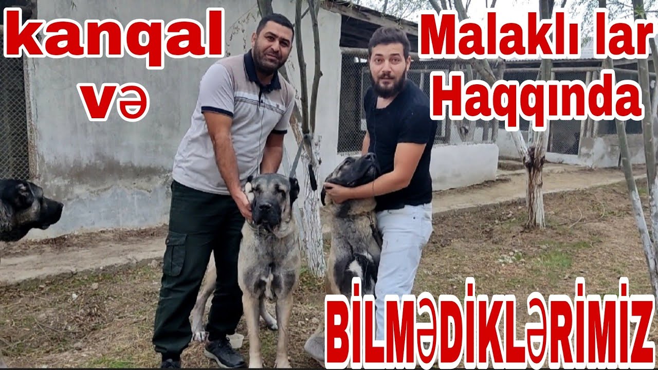 Kanqal və Malaklılar haqqında bilmədiklərimiz #kanqal#