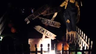 Haunted Pumpkin Patch