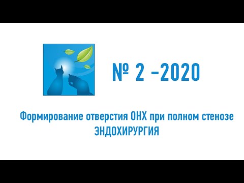 № 2-2020. Эндохирургия. Формирование отверстия ОНХ при полном стенозе.