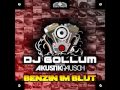 DJ Gollum Feat. Akustikrausch - Benzin Im Blut (Hands Up Radio Edit)
