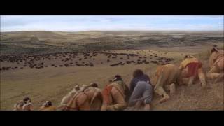 View of the Buffalo Field (Director's Cut)