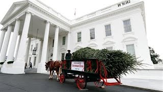 First Lady Welcomes White House Christmas Tree