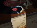 1982 Rel. Schumann Piano Concerto in A Minor Op 54 1st mov Claudio Arrau 슈만 피아노협주곡 1악장 클라우디오 아라우