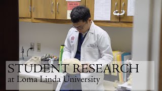 Celebrity LLU Research - Paul Jung Profile