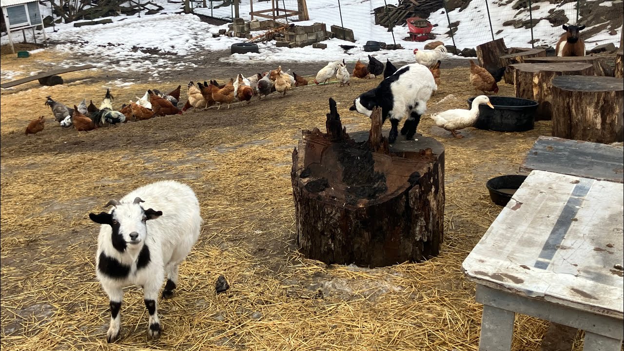 What happened to us now? Part one