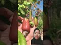 animasi buah apa ni gaes? #viral #shorts #nur