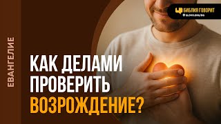 картинка: Какие дела нужны для подтверждения возрожденного сердца? | 