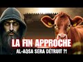 Cette vache rousse ouvre la porte  larrive du dajjal 