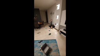 Dog Cleans Tidy Up Her Toys Into Her Box, When Owner Points at Each One, for a Treat