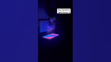 GLUN Magic 3D LED Night Lamp Smart Sensor auto On/Off Color Change Mushroom Flowers Home Decoration