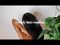 Weekly Natural Hair Routine: Wash Day, Night Care, Hairstyles, Co-Wash ft. Dove Amplified Textures