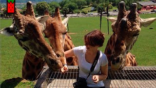 QUÉ HACER CUANDO ESTÁS DE VIAJE | ABIPOWER