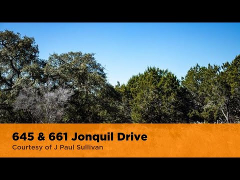 661 Jonquil Drive, Spring Branch, TX home video tour