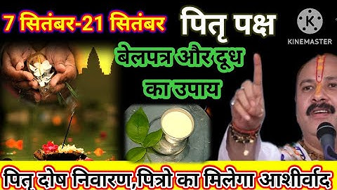16 श्राद्ध पक्ष में पितरों की शांति के लिए करें ये उपाय#pitrpaksh#pradeepmishra@Dharmik-Bahu_18 