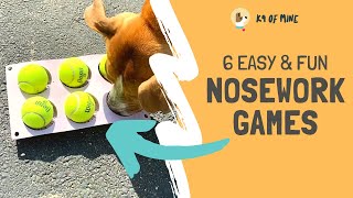 6 Nosework Games for Dogs: Easy, Simple Scentwork!