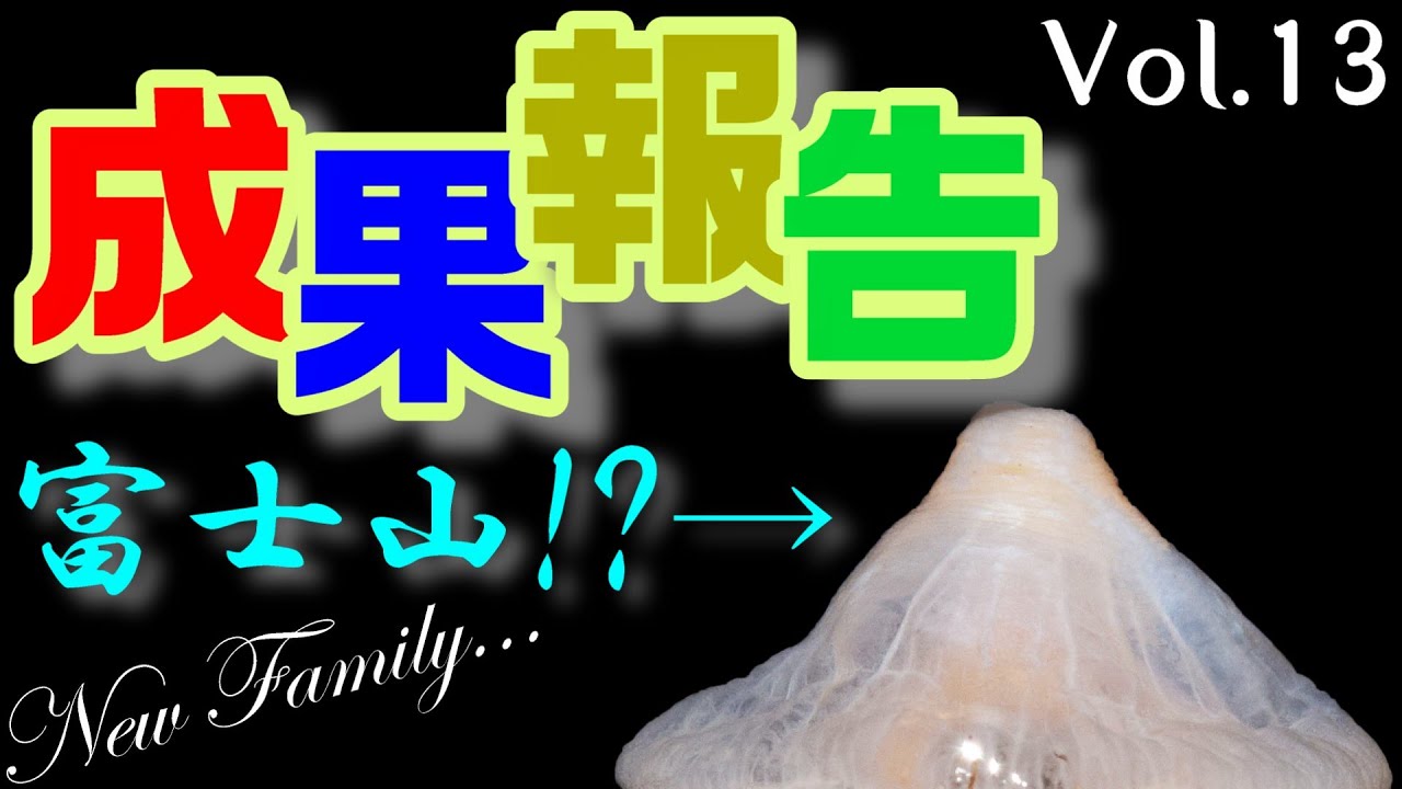 【Dr.クラゲさんの研究紹介】Vol. 13～新科新属新種“海の富士山”!?～【26種目】