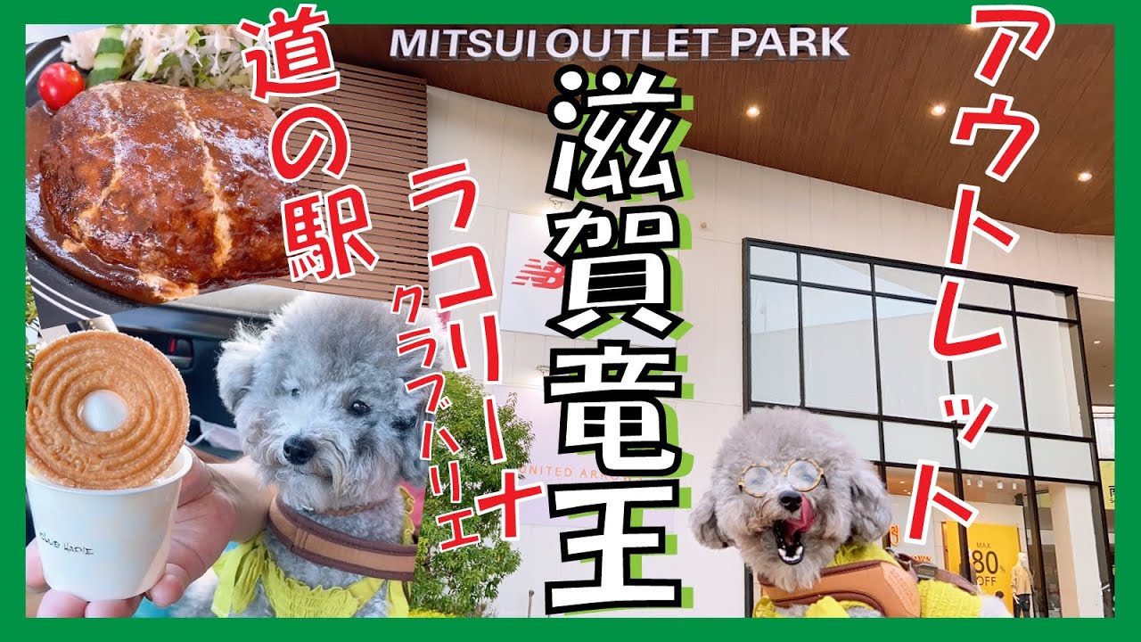 犬とお出かけ 道の駅 アウトレットに愛犬とお買い物に行ってきた In滋賀竜王 話題のラコリーナにも行ったけど トイプードルのtorte Channel Youtube