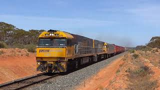 5PS6 NR 17 Binduli 231020 S1260006 5PS6 NR 17 Binduli 231020 S1260006