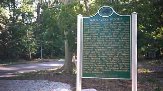 Residents criticize updated historical marker for 'whitewashing' Indigenous history