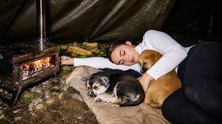 Solo Hot Tent Camping by the River with 2 Dogs | We Got Completely Soaked