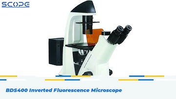 Professional Laboratory Inverted Biological Microscope BDS400