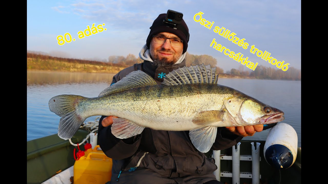 Pergetés Szalai Gáborral - 80. adás: Őszi süllőzés trollkodó harcsákkal