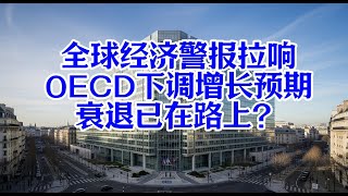 全球经济警报拉响：OECD下调增长预期，衰退已在路上？