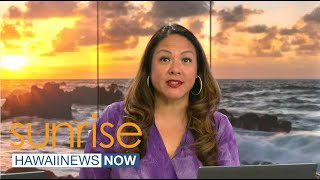 Viruses could put Hawaii state flower’s future at risk, scientists say Mysterious Viruses A Possible Threat To Hawaii S State Flower
