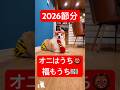 節分を楽しむコーギー ꕀオニはうち 福もうち 米津玄師さんになっちゃった・・ꕀ #コーギー #つーちゃん #corgi