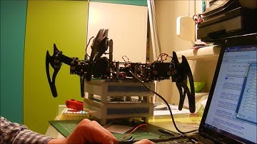 CH3 R Hexapod First moves