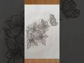 How To Draw Hibiscus flowers and butterfly with pencil sketch #shorts #youtubeshorts