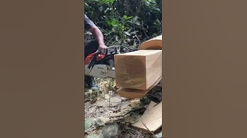 Chainsaw skill#make a stool from wooden#stihl ms 382